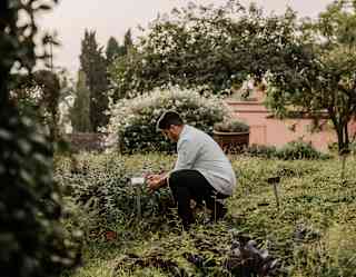 Low-saturation image of Chef Costa crouching by a herb bed in a garden which riots with greenery and blossom.