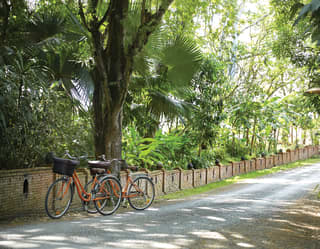Cycling in Luang Prabang