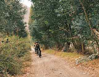 Two people ride bicycles along a dirt path surrounded by tall green trees and bushes, creating a natural, shady tunnel through the forested area.