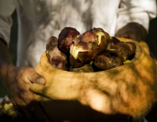 Close up shot of cooks holding peruvian potatoes
