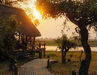 A paved path meanders between a lodge and trees towards a river illuminated by glowing golden sun.
