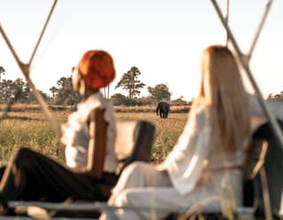 Blurred silhouettes of two stylish ladies watching an elephant approach in the distance