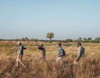Three guests and a guide walking in a line across grasslands under clear blue skies