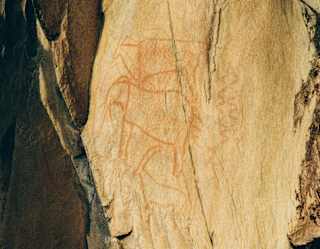 Close-up of an ancient rock painting depicting an elephant, deer and antelope, etched into dry bark.