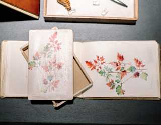 A pressing panel and a green and red ink print of stems and leaves rests on a sketch book, seen at a paper making workshop.