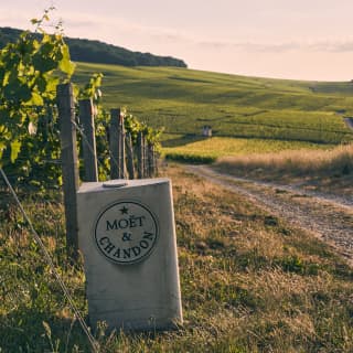 At the side of a path with a vineyard backdrop, a stone bollard bears the emblem of the Champagne producer, Moët & Chandon.