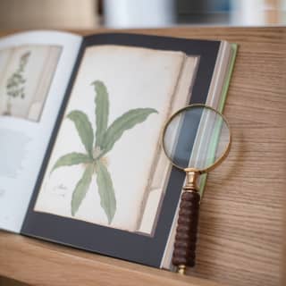 An antique magnifying glass props open a page of watercolour plants, in an antiquarian botanicals book