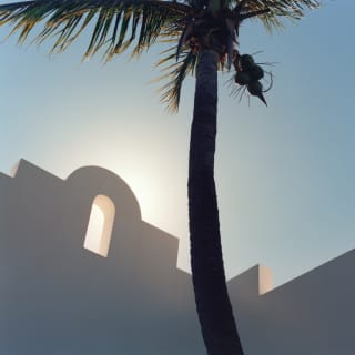 Behind a tall palm, the top of a villa obscures the bright sun, which glows like a halo around the roof's feature arch.