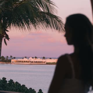 Silhouette of a lady gazing out towards the Caribbean Sea in a purple sunset framed by the leaves of a palm tree