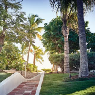 A terracotta tiled path wends its way through green lawns and tall palms to reach the sandy beach and sea beyond