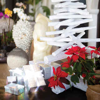 christmas at Cao Juluca