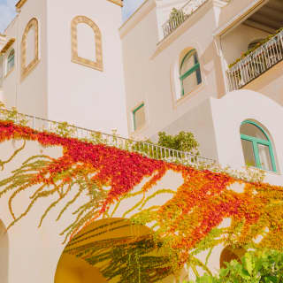 The bright red leaves of Virginia Creeper snake across cream stucco walls setting the Moorish architecture ablaze