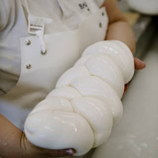 An artisan cheesemaker in white uniform and apron holds a large braid of buffalo mozzarella; it shines in the light