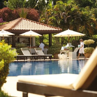 Hotel pool surrounded by sunbeds, parasols and tropical trees