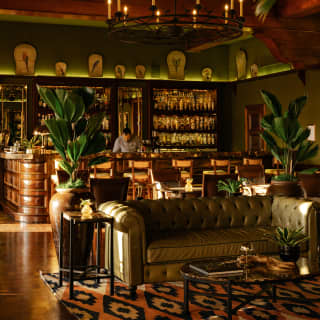 Looking over the sumptuous low-lit lounge of Bar Taroba, with sage leather sofa and potted plants, to the polished-wood bar.