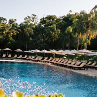 Looking over foliage to the pool, where white sun loungers and parasols separate the glittering water from the forest behind.
