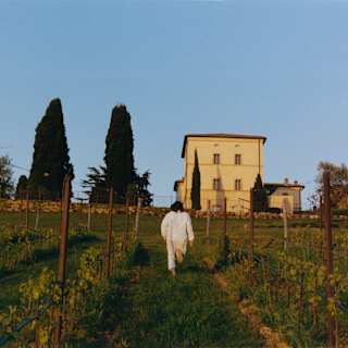 A woman in white trousers and top walks up a grass path between young vines towards the hotel, seen from behind.