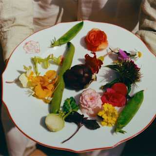 Looking down on a plate of edible flowers, in orange, pink and purple, alongside a mange-tout, radish and haricot bean pod.