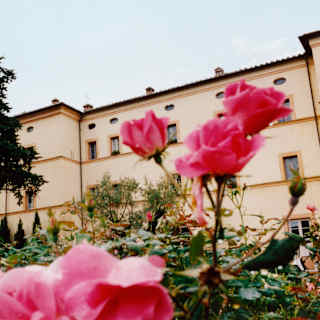 Low-angle view of the cream façade of Castello di Casole, seen from gardens over blushing pink roses.