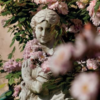 A weathered marble statue of a gently smiling goddess peeks through the soft pink flowers of a climbing rose