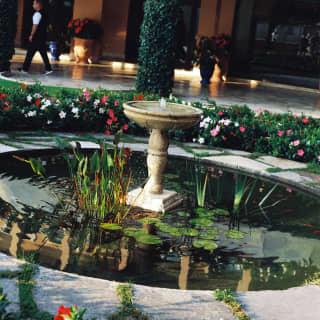 A stone bird bath fountain gurgles gently in the centre of clear pond dotted with lily pads and encircled by flowers