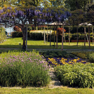A wisteria-covered walkway, dripping with purple flowers, creates a shaded path through the stunning country-style garden.