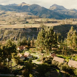 View over Las Casitas, with terracotta-roofed residences nestled among tall trees and gardens, with the canyon rising behind.