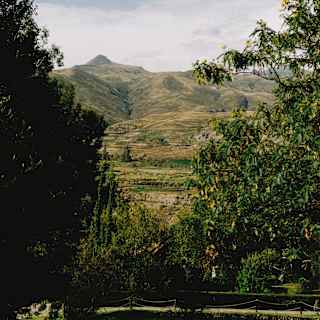 Craggy, undulating green-ridged mountains rise behind the trees of Las Casitas, seen from the hotel gardens.