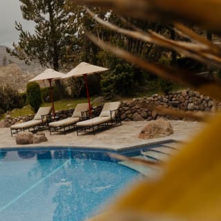 Three sun loungers recline beneath two simple parasols at the curved edge of a blue swimming pool, seen through foliage.