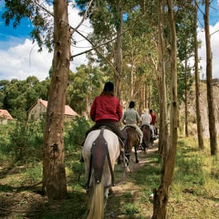 Guests take a guided horse riding adventure on a path through trees near the spectacular Colca Canyon