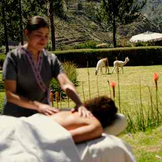 A guest receives treatment from a masseuse in the lush lawn surrounds of the spa garden, where two white llamas graze nearby.