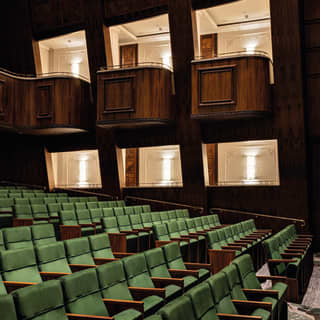 Neat rows of green velvet fold-down theatre chairs climb the gentle incline of the floor, watched by wood panelled boxes