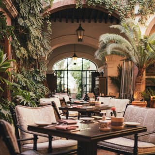 Surrounding the tables in Andanza's stylish dining courtyard, climbing monsteras and ferns create an elegant tropical space.