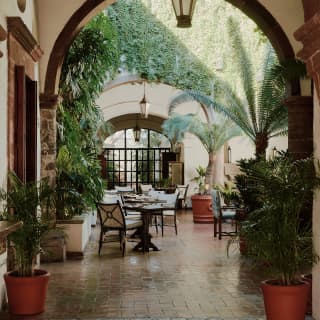 View through internal arches to Andanza's cool, lush, leaf-filled courtyard space, where tables are guarded by potted ferns.