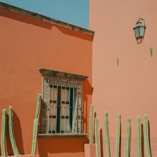 Orange building with tall green cactus next to it