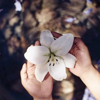 A therapist’s hands hold a beautiful white flower in the luxury Laja Spa in the heart of San Miguel de Allende