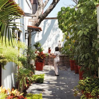 Spa therapist strolling towards a spa in a walled courtyard surrounded by potted plants and palms