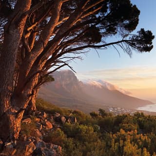 Table Mountain coated with clouds at sunrise that stretch to the sea