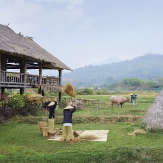 Farmers collecting straw on a rural Laotian farm