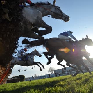 Worm's eye view of white and chestnut horses jumping a fence during a race, with birch flying and jockeys in raised pose.