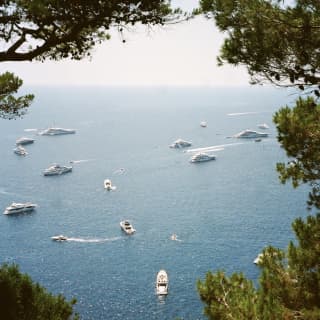 View from above through pine trees of a glittering sea dotted with boats of all sizes, cutting white lines in the azure blue.