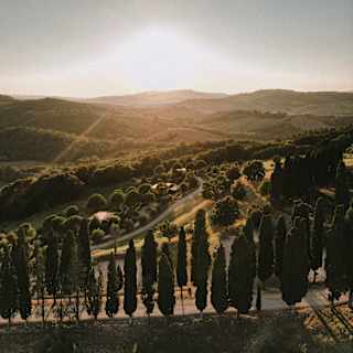 Tuscan hills gently interlace like waves in a high-angle view across the countryside, seen over Cypress trees in late sun.