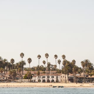 View of a sandy beach lined with palm trees from across the water