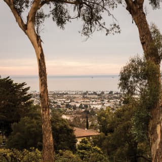 Two tall trees with views of Santa Barbara and the Pacific Ocean beyond