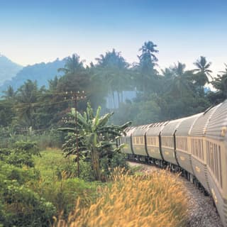 Train carriages curving through a jungle landscape with mountains beyond