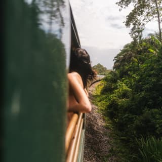 A woman's elbows jut from the train as she leans back on the rails of the Observation Deck, seen from the exterior.