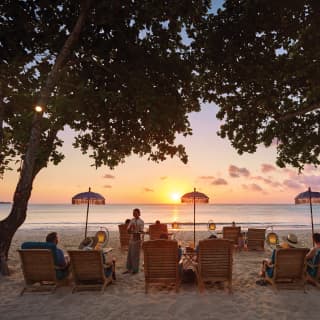 Three couples relaxing on sunbeds between two trees, facing sunset over the sea