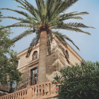 An enormous palm tree reaches above the ancient stone wall of the hotel and fans out, extending the arms of nature's parasol