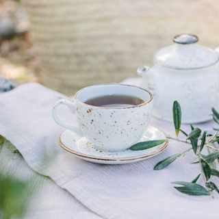 A freshly picked sprig from an olive tree sits green against a white tablecloth, set with a newly poured cup of tea and teapot