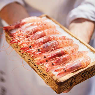 Close-up of fresh uncooked jumbo shrimp in a row on a bed of ice